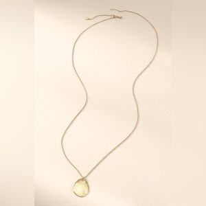 Stella & Dot Armour Drop Necklace